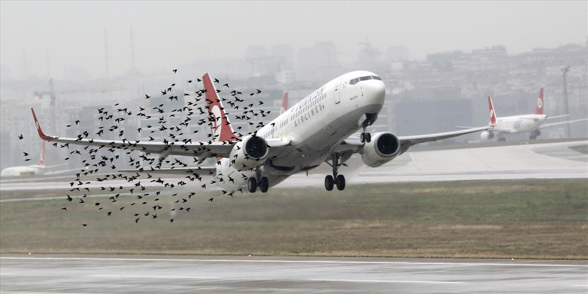 FOTO Toto sa stane, keď sa vták zrazí s lietadlom