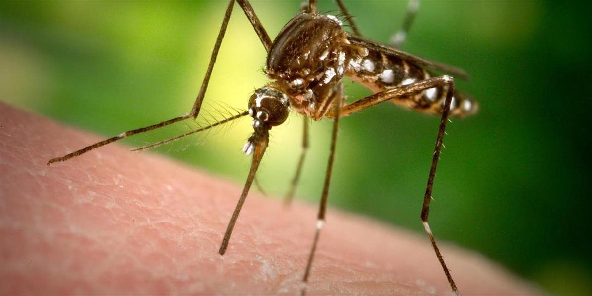 Dánsko aj USA zaznamenali prvý prípad nákazy vírusom Zika