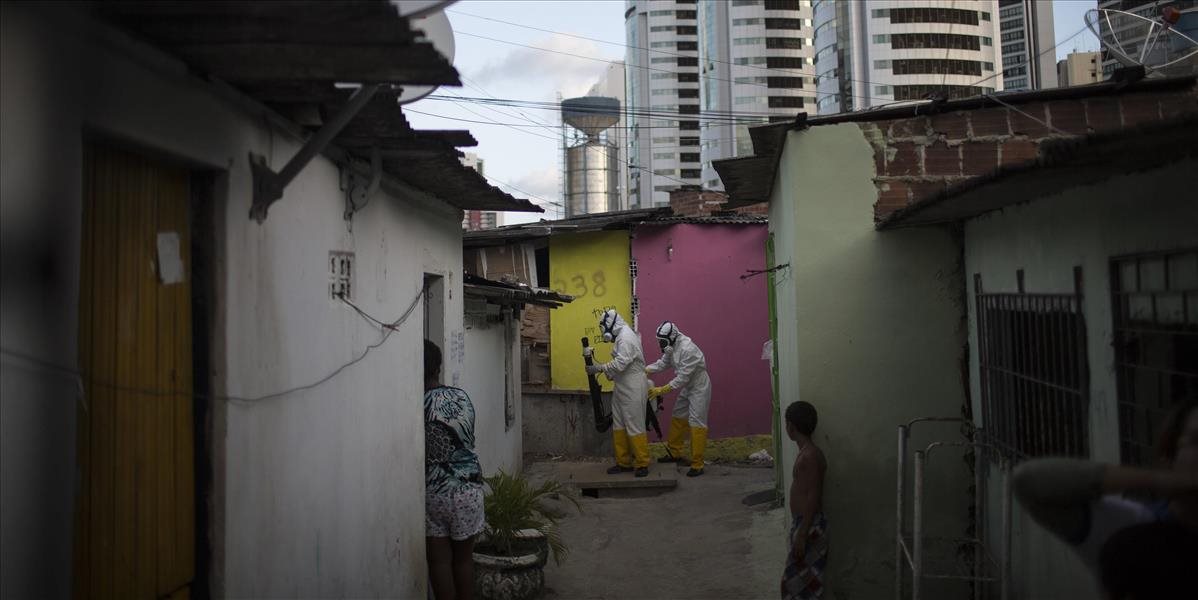 Päť Portugalcov je po návšteve Brazílie nakazených vírusom Zika