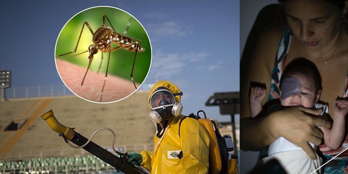 Brazília je v pohotovosti kvôli vírusu zika: Ohrozené sú aj olympijské hry v Riu