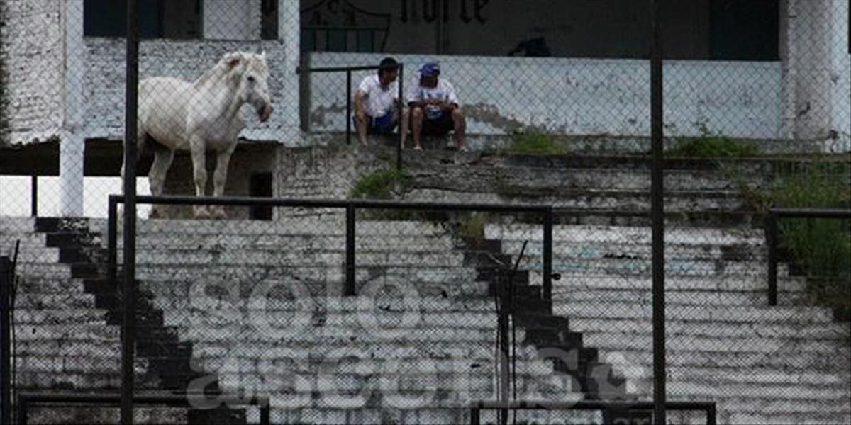 Futbalový zápas v Argentíne si pozrel aj kôň