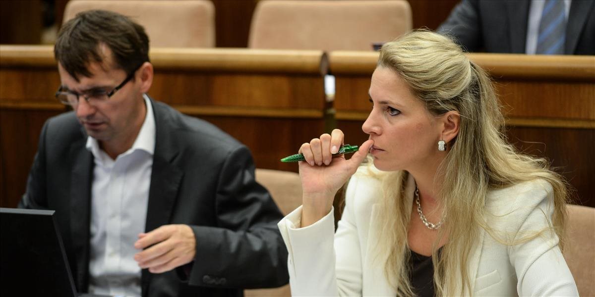 SaS chce zlepšiť podmienky živnostníkov rovnou 15-% daňou či odvodovým bonusom