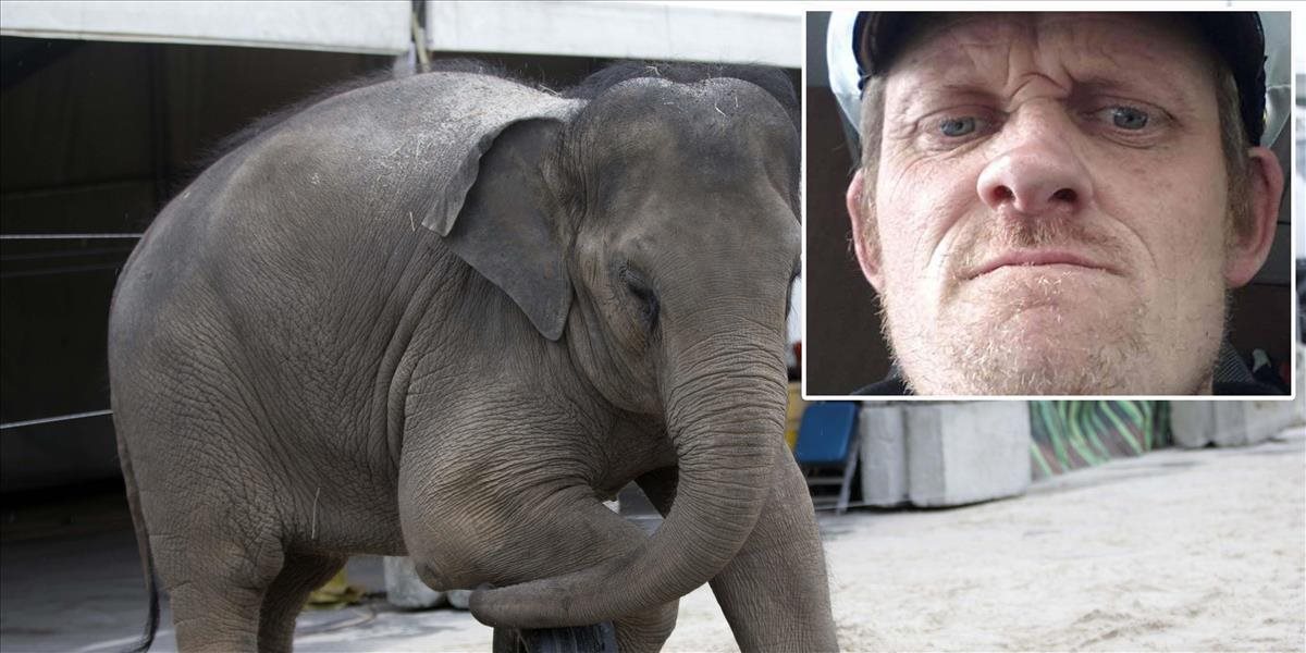 Tragická smrť v Thajsku: Slon sa vymkol spod kontroly, zabil škótskeho turistu