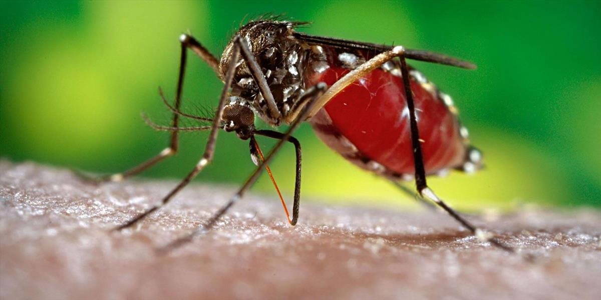 Írsko potvrdilo prvé dva prípady vírusu Zika