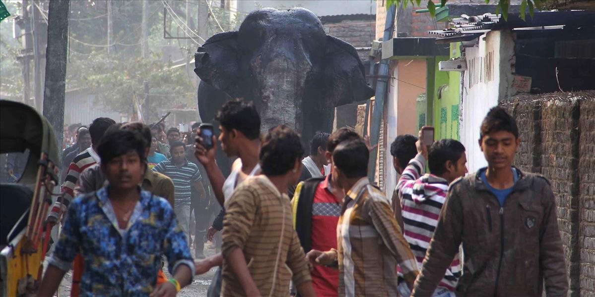 FOTO a VIDEO V Indickom meste vyčíňal zúrivý slon, ničil domy aj autá
