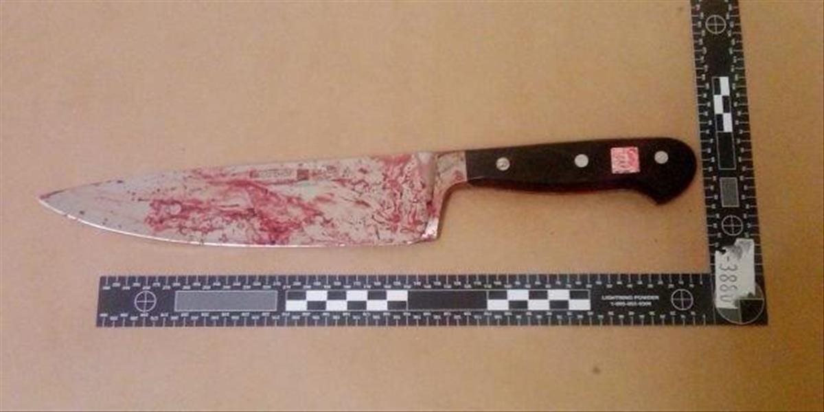 Afganec na internáte v Nitre útočil s nožom, za pokus o vraždu mu hrozí až 20 rokov