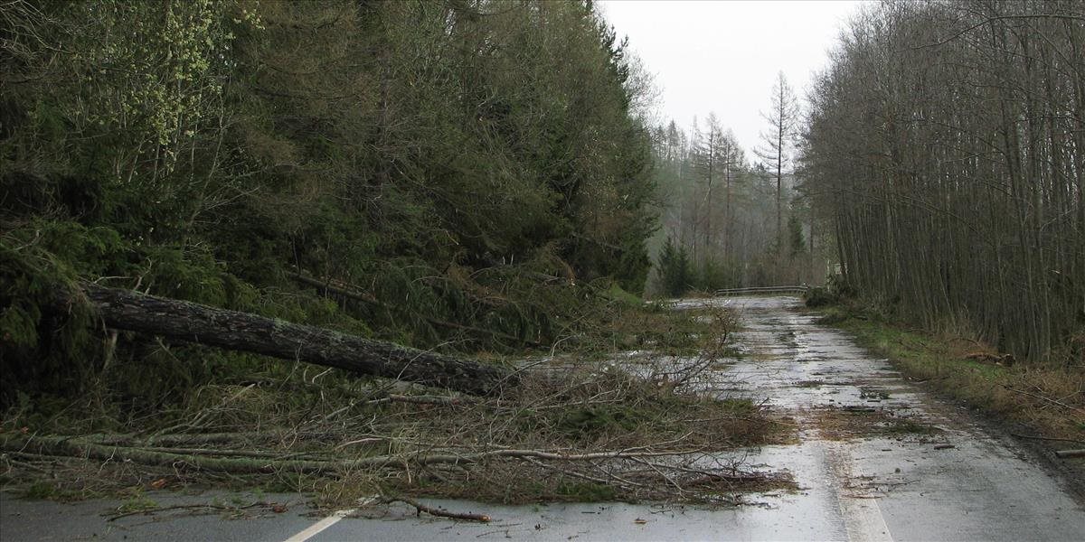 Víchrica v Tatrách opäť lámala stromy: Zničila ich asi dvetisíc