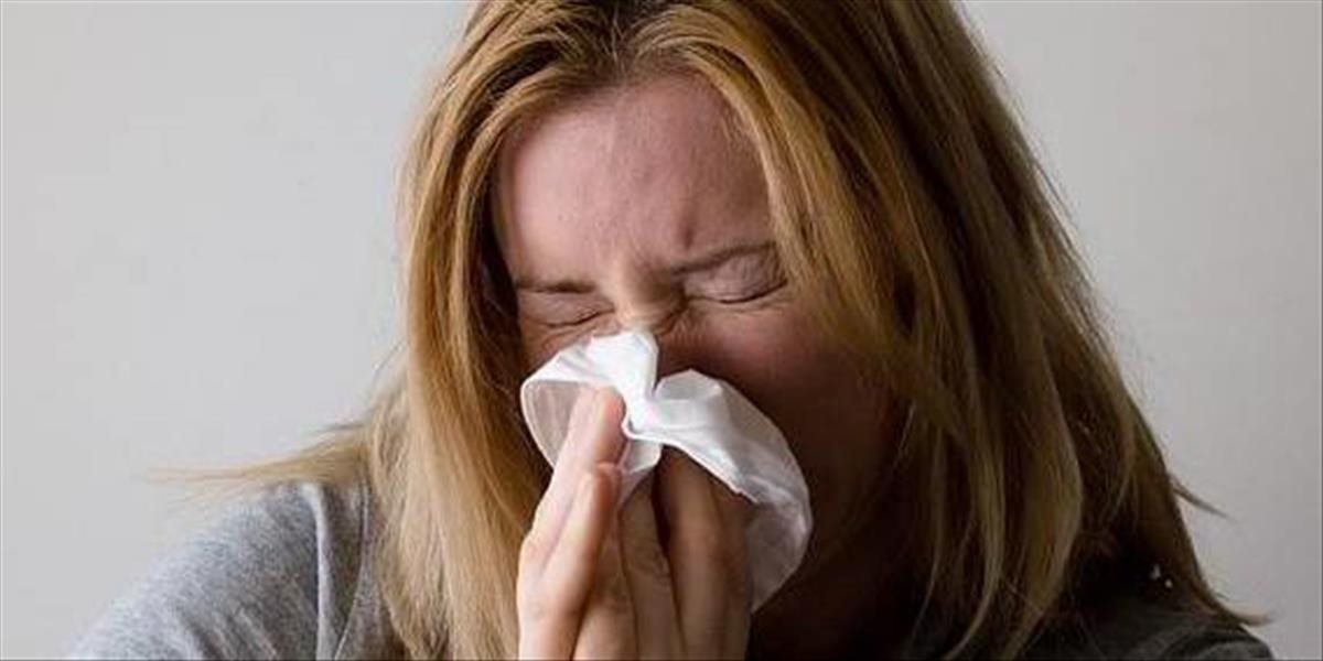 Začínajú hroziť alergie, v ovzduší nad Slovenskom je už množstvo peľu