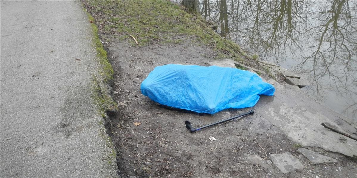 Smutný nález v Banskej Bystrici: V kaluži vody našli mŕtvu 54-ročnú ženu