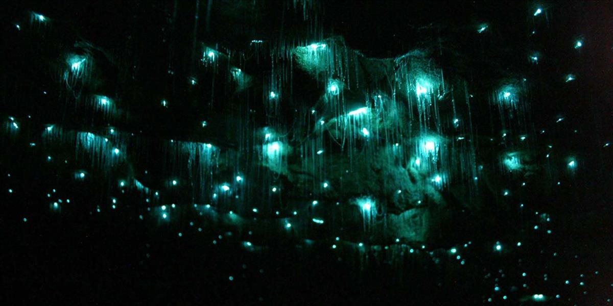 VIDEO 4K Jaskyňa na Novom Zélande je plná svetielkujúcich červíkov