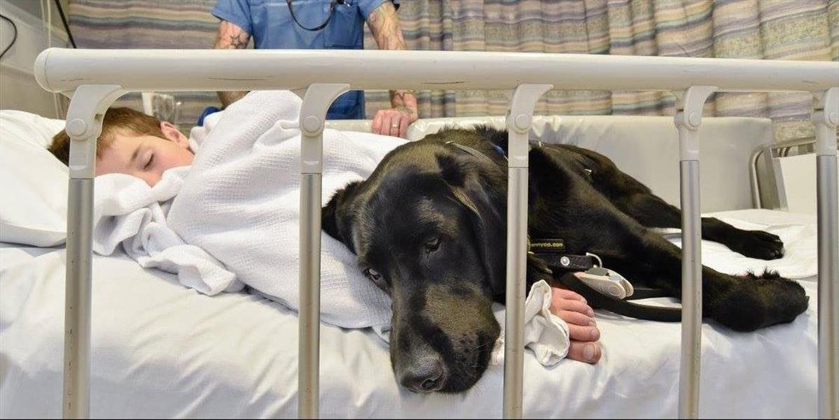 Dojemné FOTO Takto oddane sprevádzal pes svojho autistického kamaráta v nemocnici, vraj je medzi nimi mágia