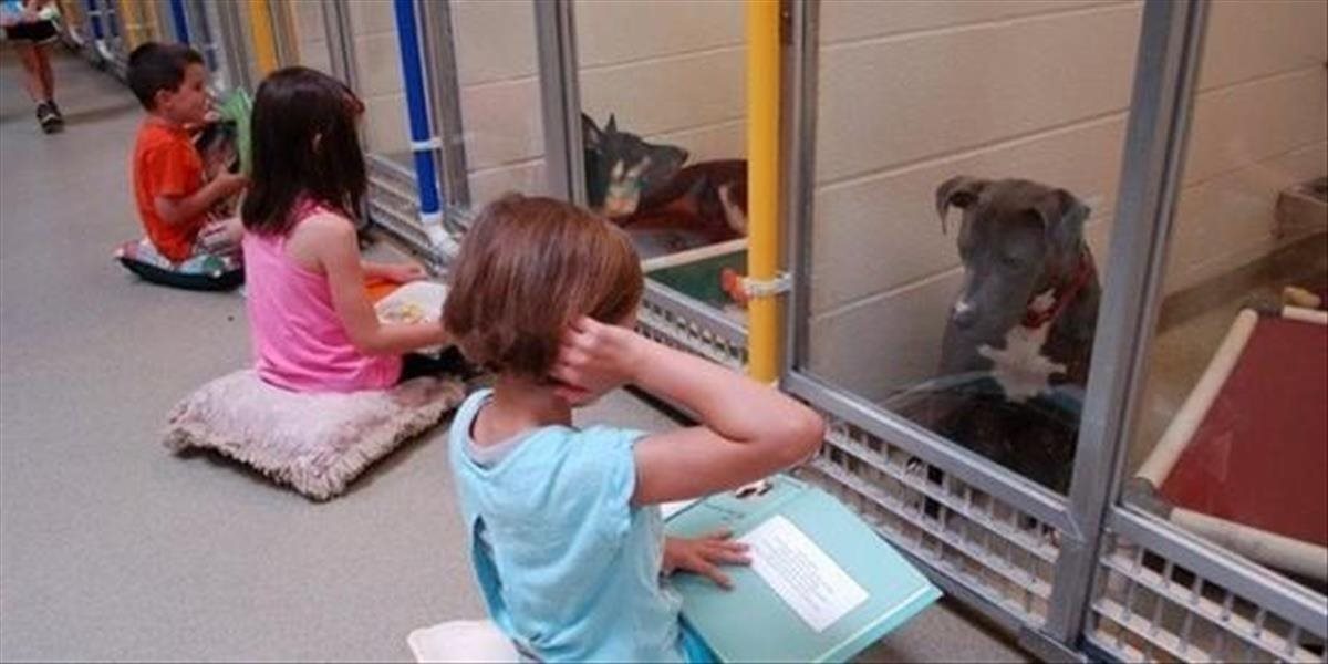 VIDEO Program na pomoc týraným psom v útulku: Deti im čítajú, aby sa prestali báť ľudí