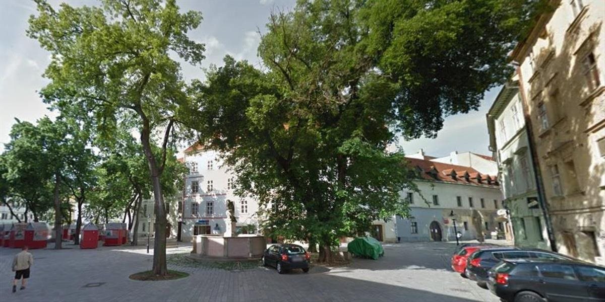 Na Františkánskom námestí v Bratislave začali rúbať 11 stromov, zasadia nové