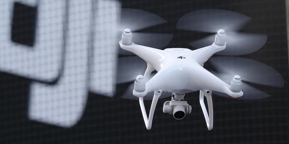 Holandská polícia zvažuje nasadenie dravých vtákov proti teroristickým dronom