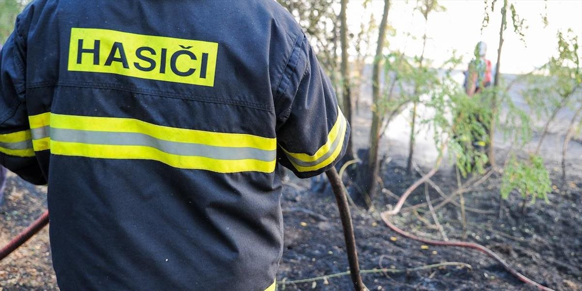 Lesy SR zaplatia za včasnú detekciu požiarov vyše 28 mil. eur