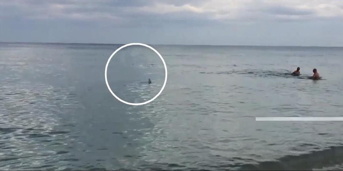 VIDEO Panika na obľúbenej pláži Hollywood Beach: Žralok plával iba pár metrov do ľudí!
