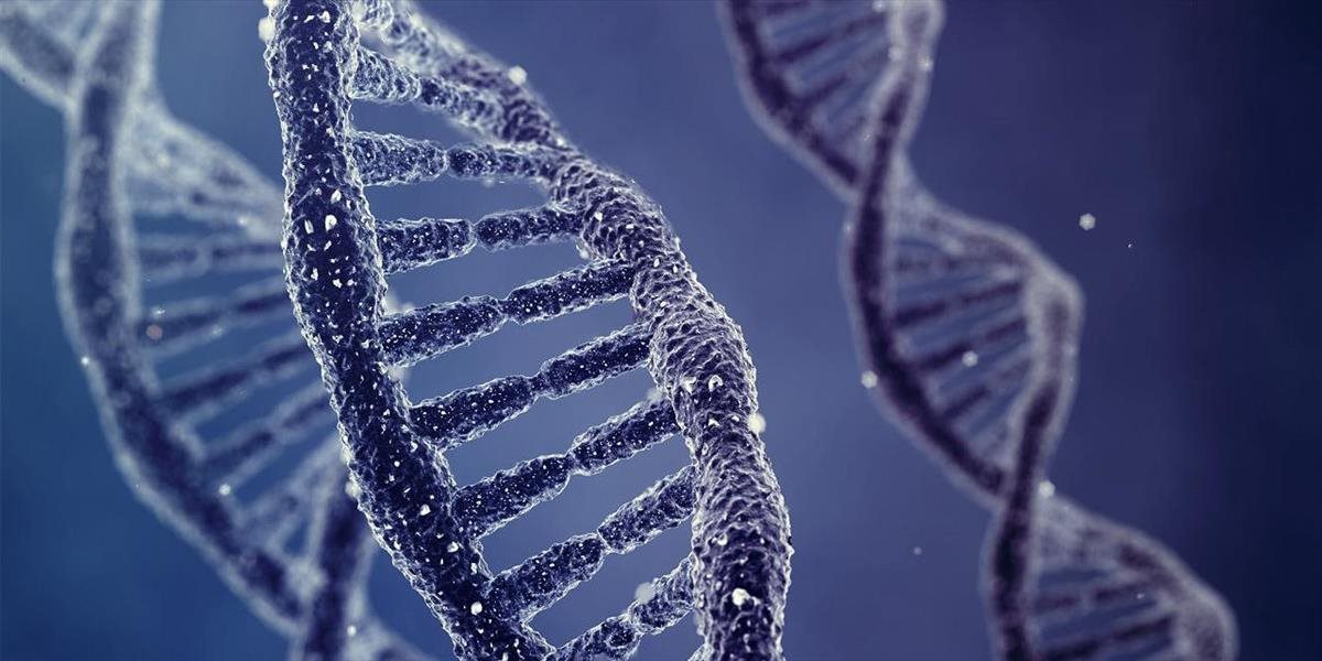 Talianska vláda schválila vytvorenie centrálnej databázy vzoriek DNA