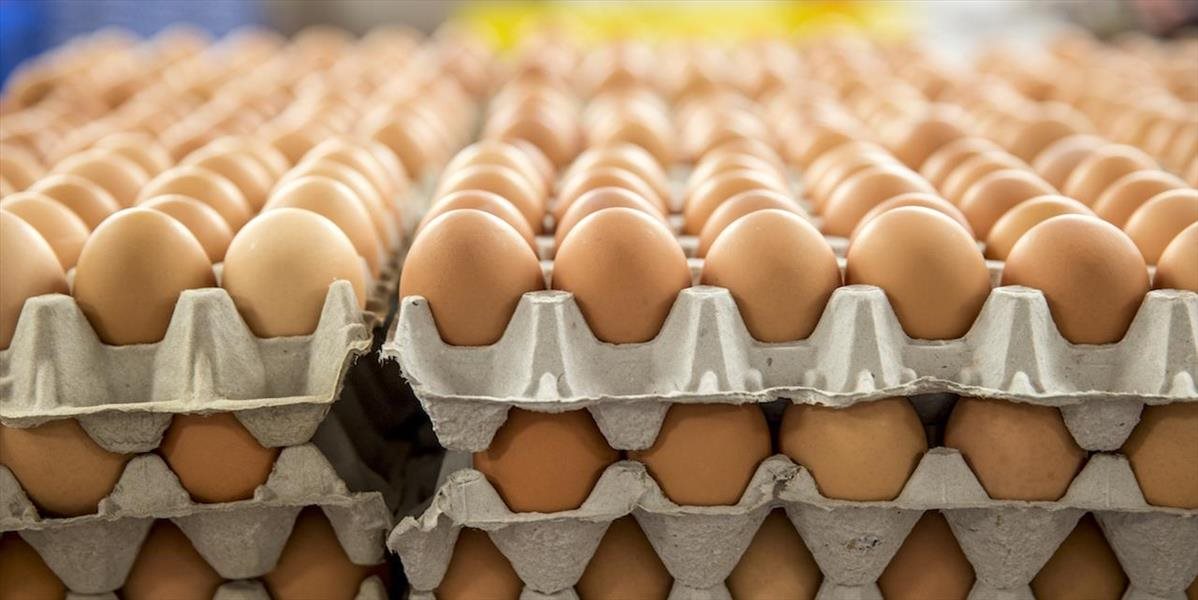 Škrupiny vajec by sa nemali umývať, obsahujú ochrannú vrstvu