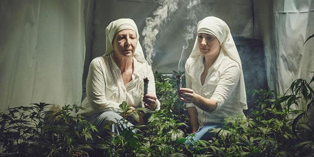 FOTO Mníšky pestujú marihuanu: Samy ju testujú a vraj má zázračné účinky