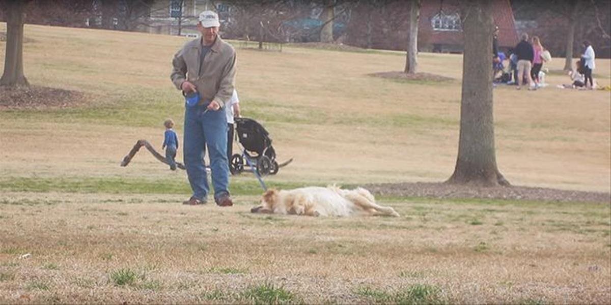 VIDEO Tento pes by mal dostať Oscara: Chcel ostať v parku, hral mŕtveho