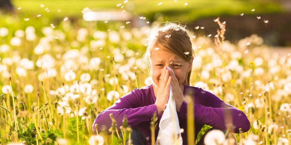 Množstvo alergénov v ovzduší sa stále zvyšuje