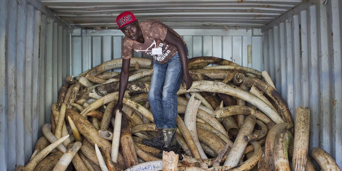 Keňa sa chystá spáliť 106 ton slonoviny a rohov nosorožcov