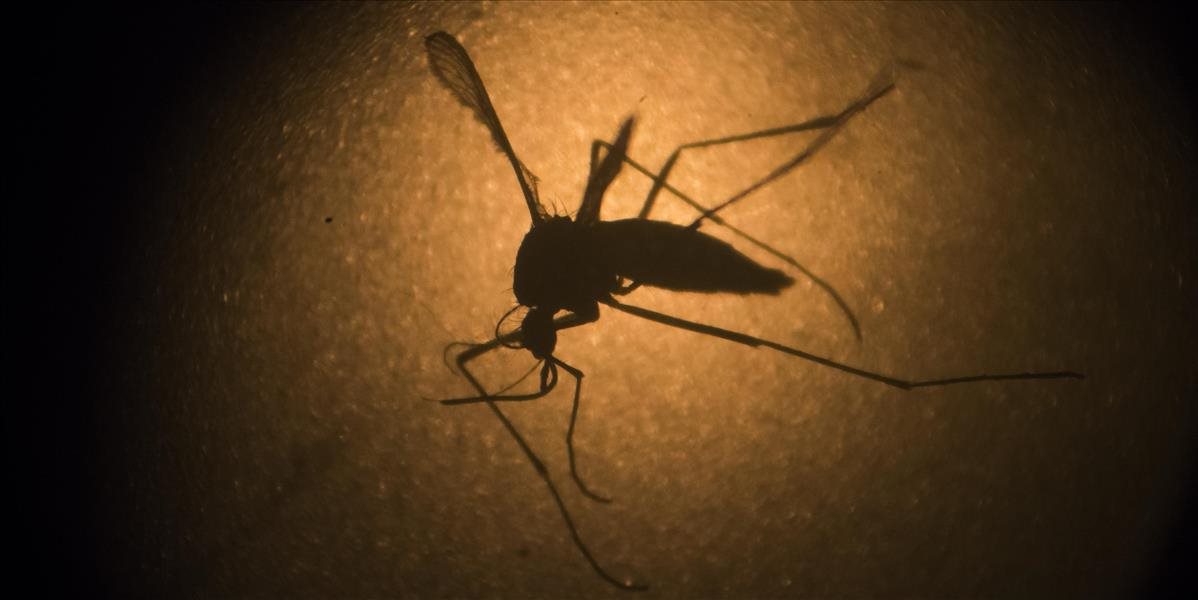 Vietnam potvrdil prvé dva prípady vírusu Zika