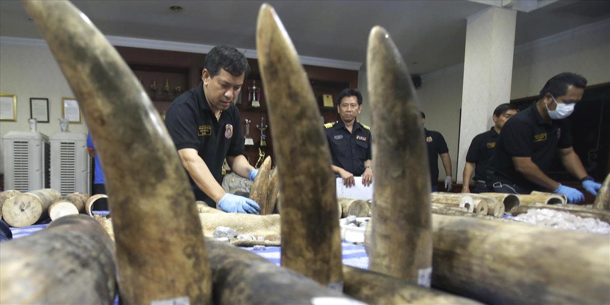 FOTO Thajskí colníci odhalili kontraband slonoviny za približne 700.000 eur