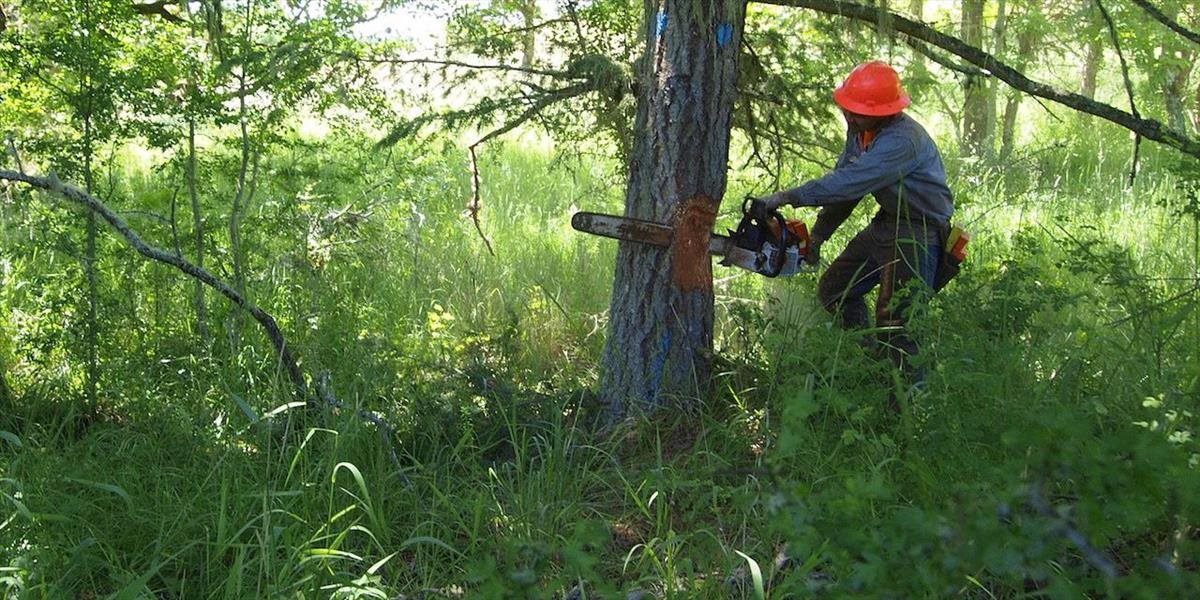 Lesného robotníka zavalil strom, na pomoc mu leteli záchranári