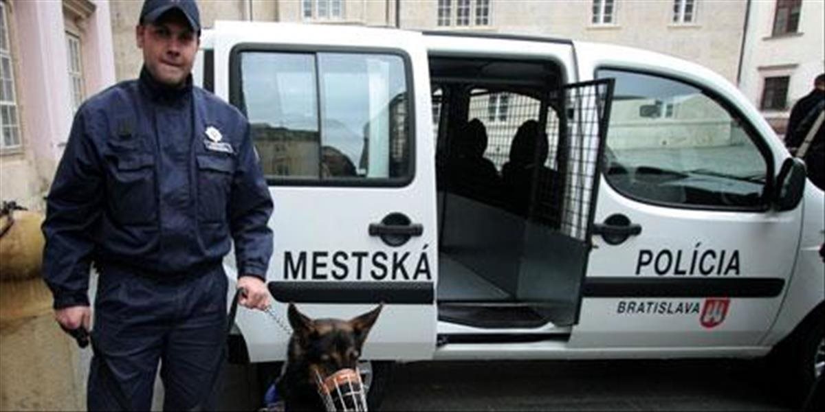 Mestská polícia v Bratislave posilňuje hliadky v okolí Železnej studienky a Koliby