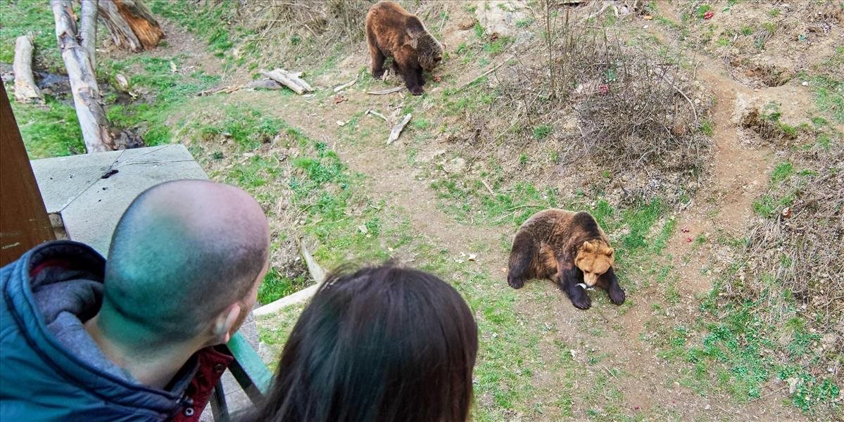 Vo Vysokých Tatrách vyhlásili mimoriadnu situáciu, v osadách sa túlajú medvede