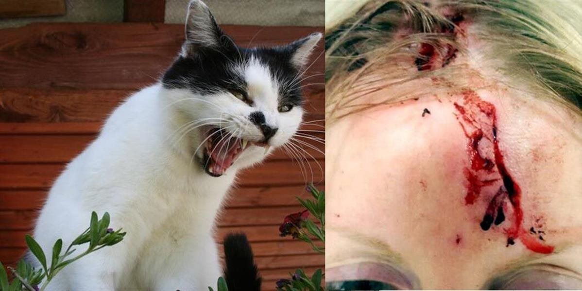 FOTO Ženu na záhrade brutálne napadla mačka, má zjazvenú tvár a poškodené oko