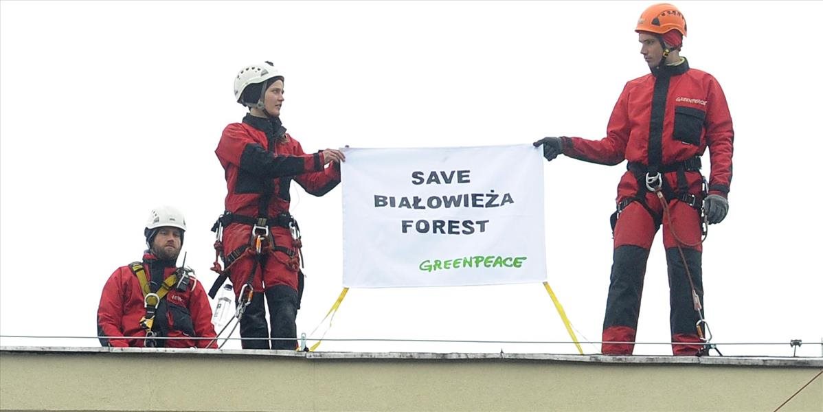 FOT Greenpeace vo Varšave protestujú proti ťažbe dreva v poslednom európskom pralese