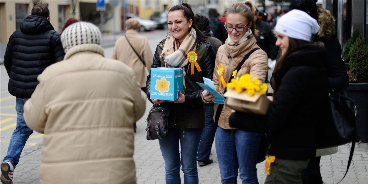 V mestách budú dobrovoľníci s pokladničkami, dnes je Deň narcisov