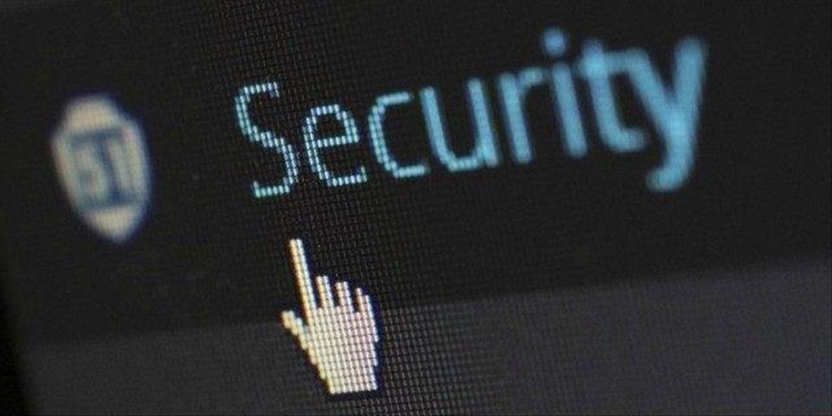 Litovské vládne webové stránky po tretí raz za mesiac napadli hackeri