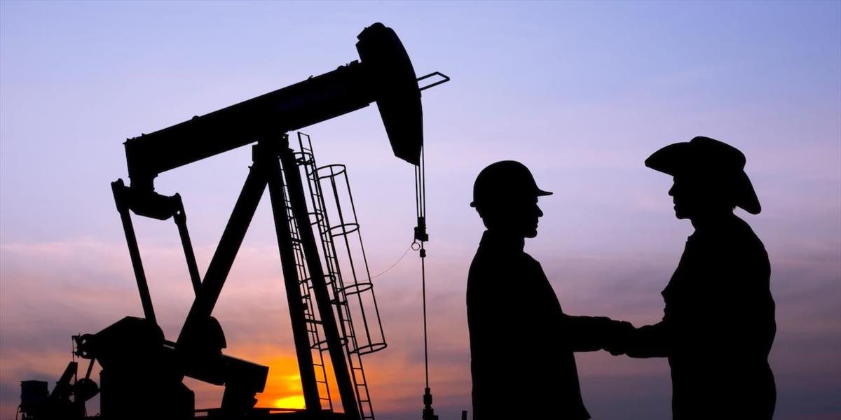 Cena americkej ropy počas uplynulého týždňa vzrástla o 8 % na 43,73 USD za barel