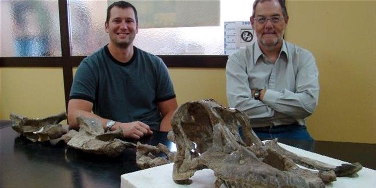 Objavili štvrtý druh titanosaura, z ktorého sa zachovala lebka