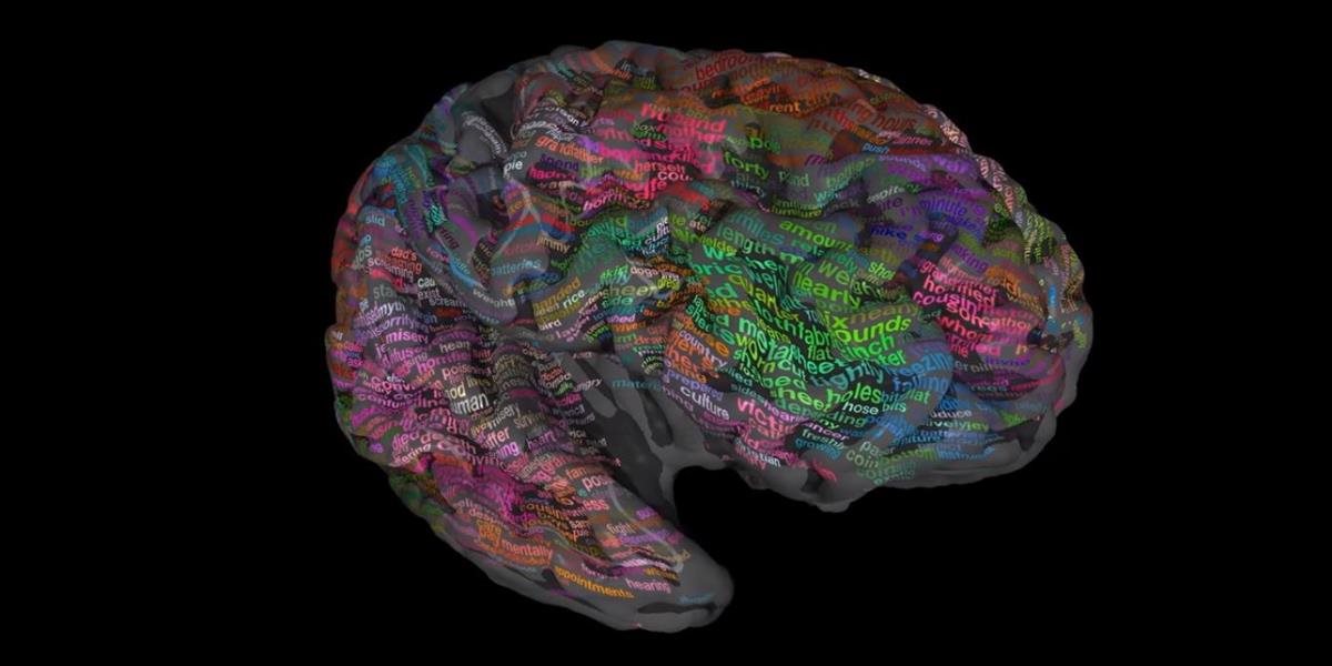 VIDEO Vedci odhalili, ako si mozog ukladá jednotlivé slová
