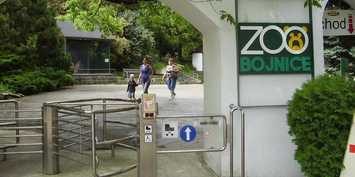 Bojnická zoologická záhrada otvorí letnú turistickú sezónu 1. mája