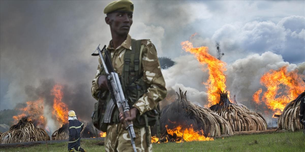 Keňa spálila rekordných 105 ton slonoviny na protest proti pytliactvu