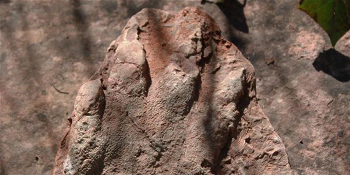Na severe Katalánska našli 230 miliónov rokov starú stopu predchodcu dinosaura