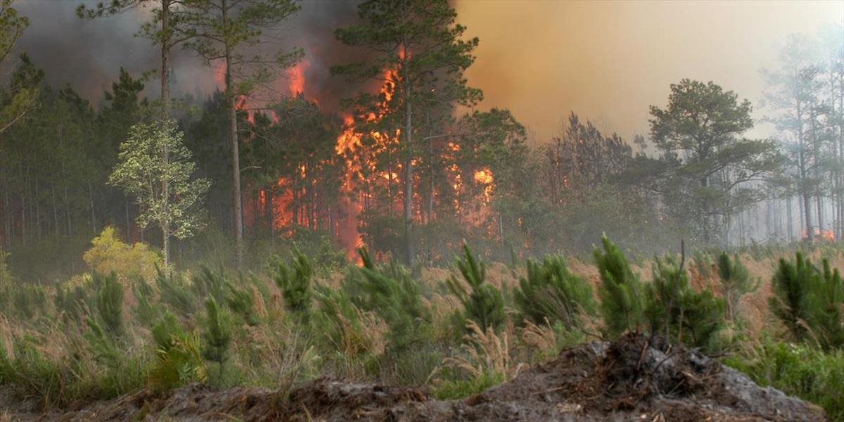 V Rusku zápasia s lesnými požiarmi