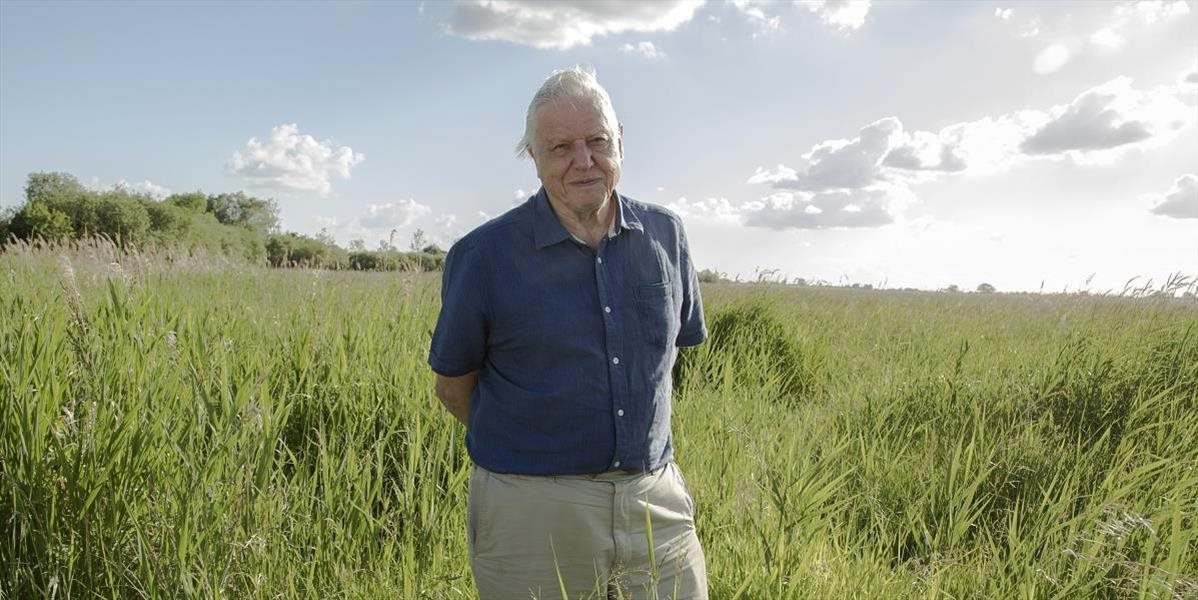Britský moderátor a prírodovedec David Attenborough sa dožíva 90 rokov