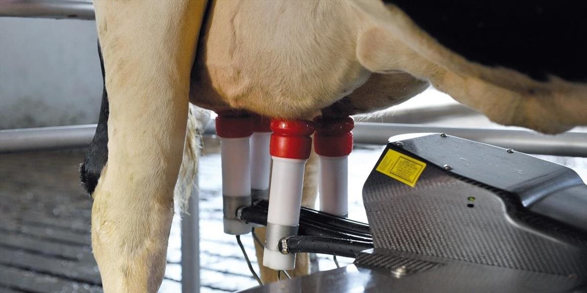 Semančík: Štát by mal prvovýrobe mlieka okamžite pomôcť sumou 43 mil. eur