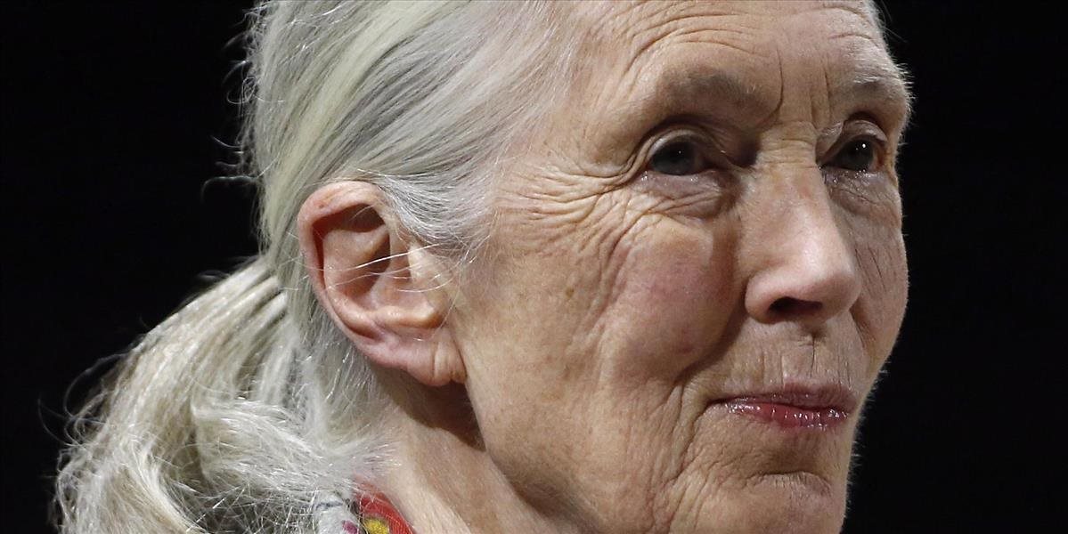 Primátologička Jane Goodall dostala cenu Ekotopfilmu