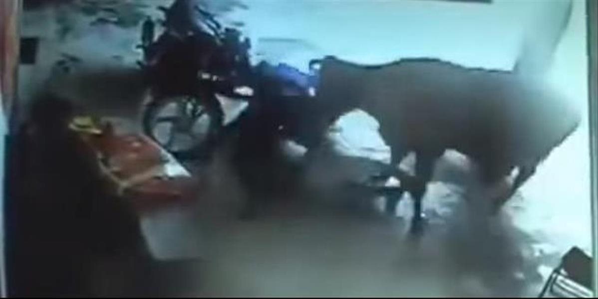 VIDEO Na ľudskú krutosť sa nemohla pozerať už ani krava: Zviera sa zastalo Indky, ktorú rodina ubila na smrť