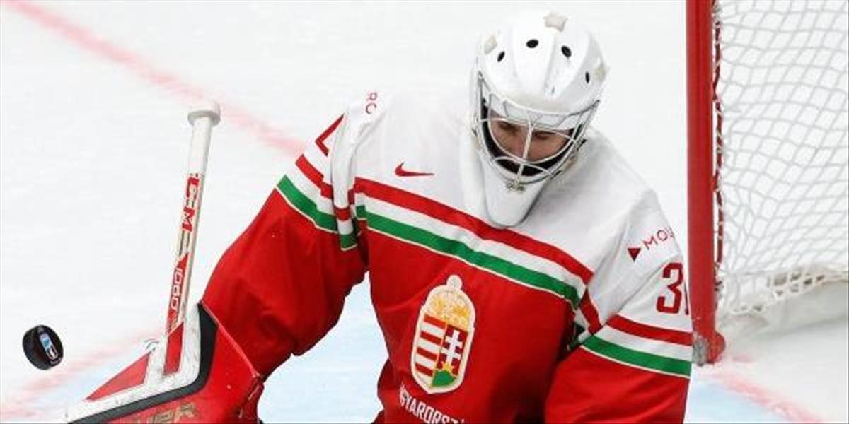 NHL: Maďarský brankár Vay podpísal zmluvu s Minnesotou