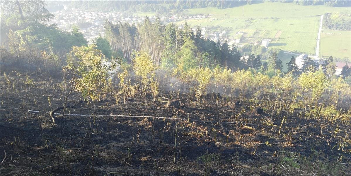 Požiar lesa nad mestskou časťou Žiliny už uhasili, trápili sa s ním desiatky hasičov