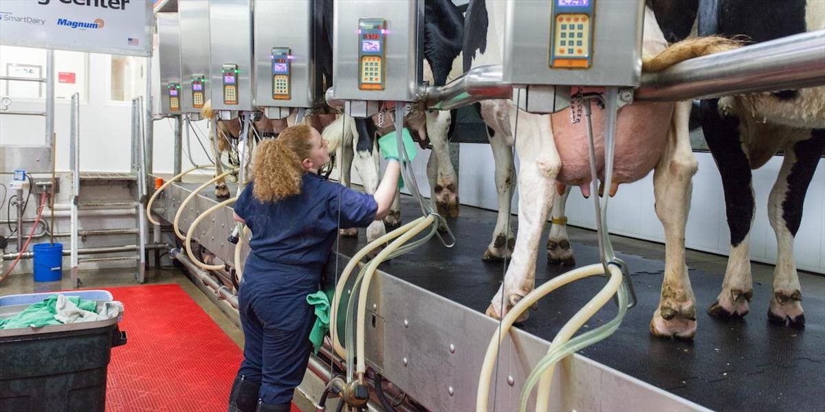 EÚ by mala stabilizovať ceny mlieka, myslia si europoslanci