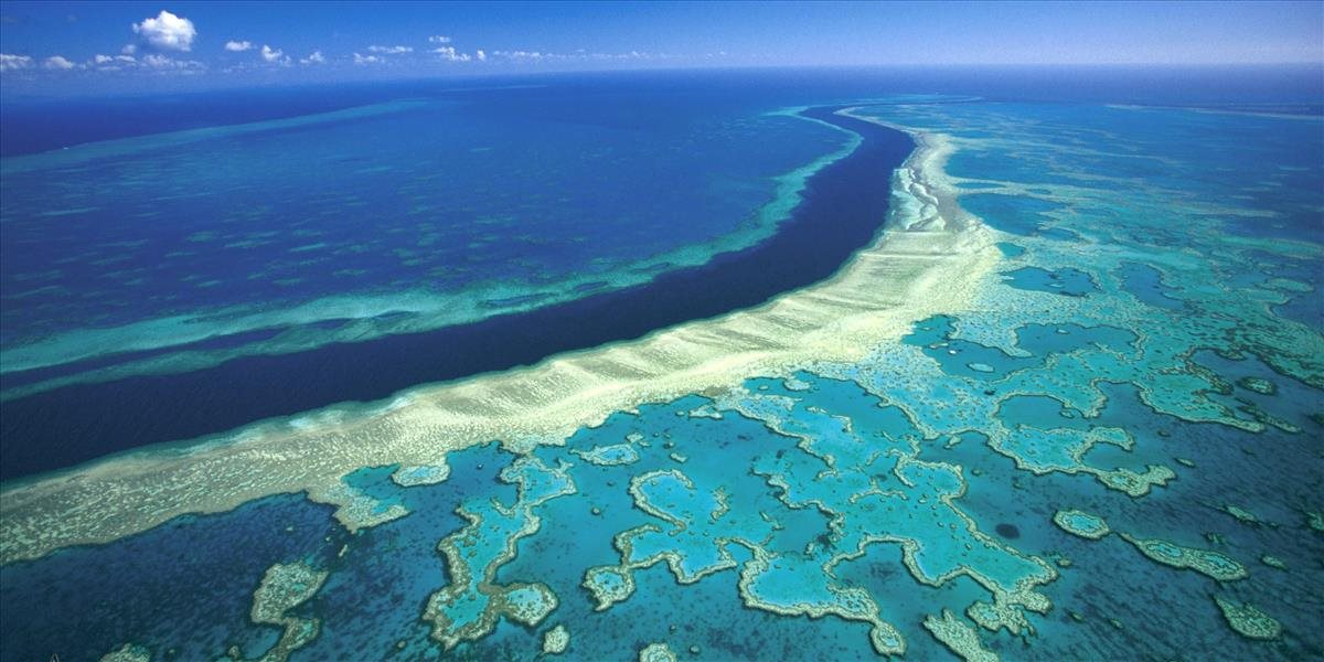 Rozsiahle časti Veľkej koralovej bariéry strácajú farbu